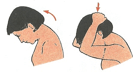 تمرین خم کردن گردن به جلو
