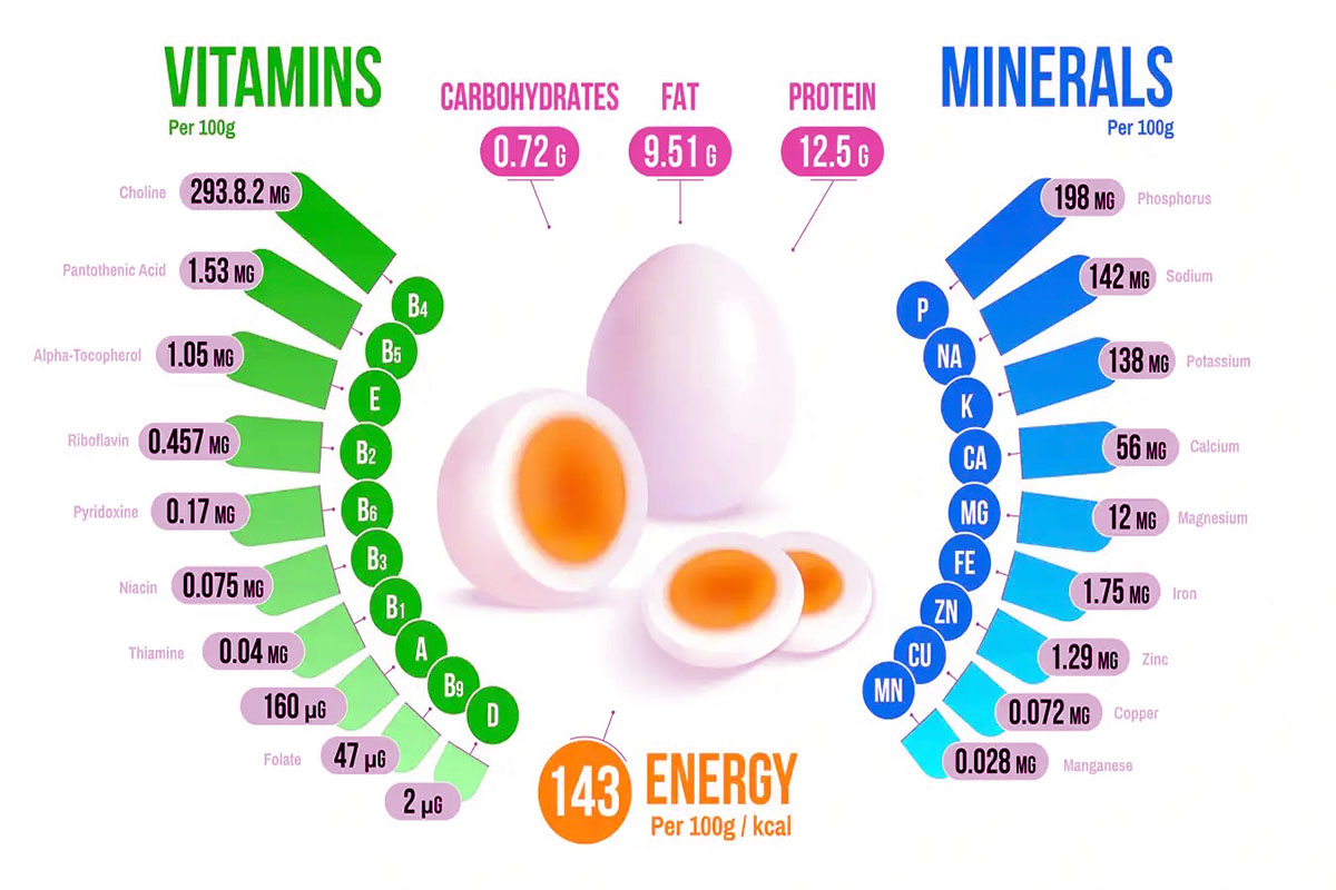 eggs